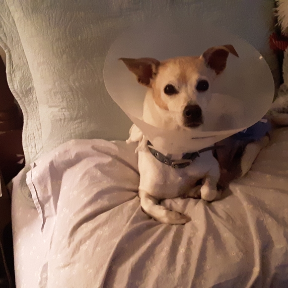 Meet your Posher, Sally - Picture 16 of 16